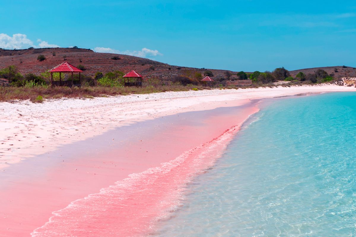 Pantai Pink di Bima, NTB