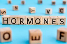 Hormon: Pengertian, Fungsi, dan Pembuatannya