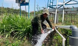Mengubah Kemarau Menjadi Harapan, Pertamina Dampingi Petani Boyolali Menuju Kesejahteraan