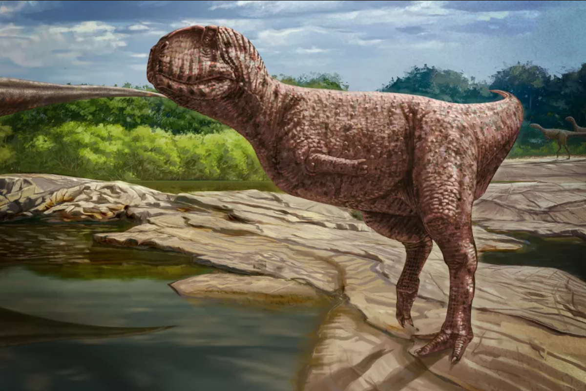 Ilustrasi abelisaurid, dinosaurus dengan muka bulldog yang ditemukan di Gurun Sahara. 