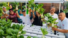 Dari Lahan Sempit ke Gerakan Besar, Kampung Hidroponik Surabaya Menanam Harapan
