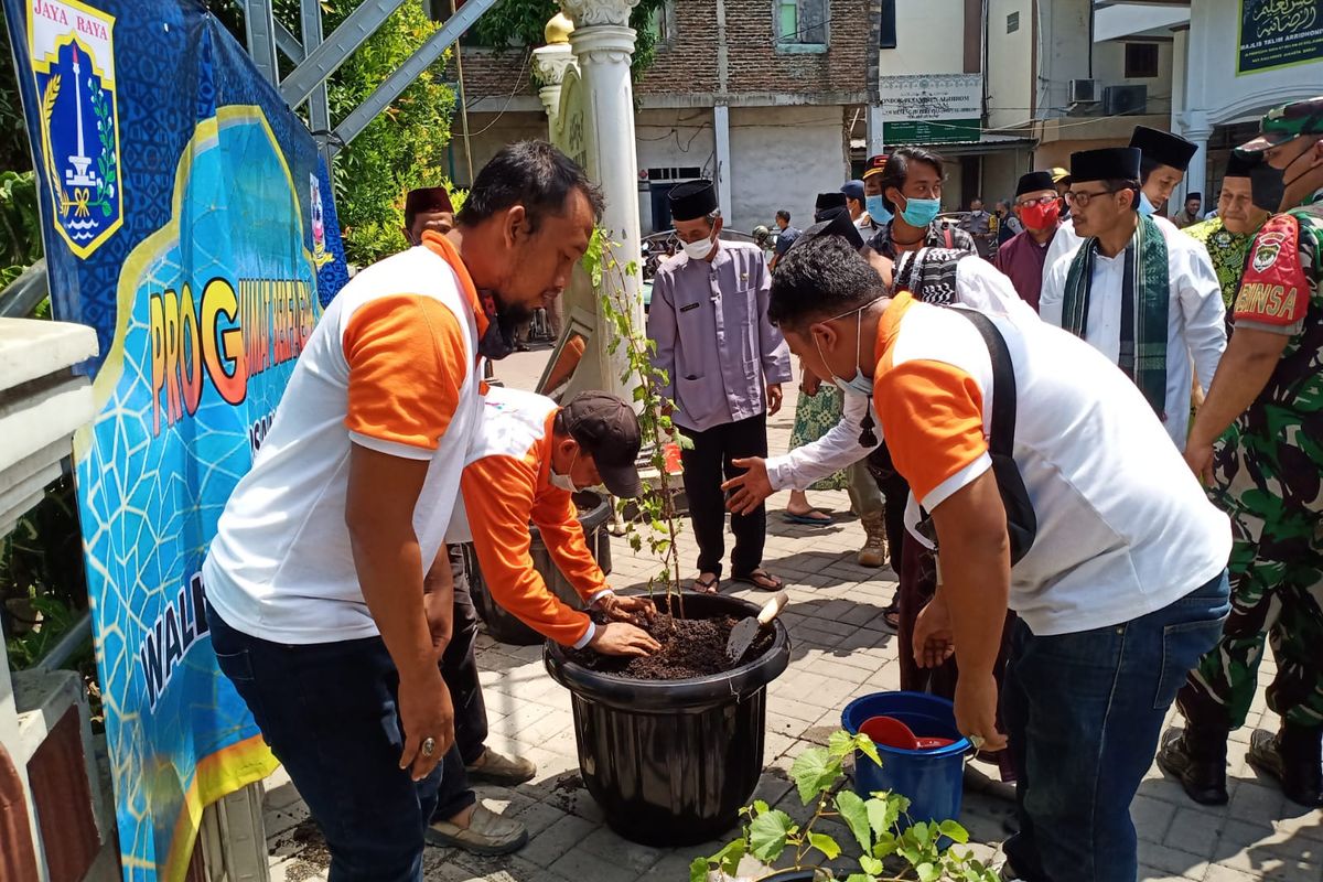 Masjid Al Ihrom, Kalideres, mulai ditanami bibit pohon anggur di area pekarangan pada Jumat (26/11/2021). 