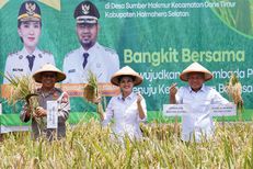 Setahun Pimpin Maluku Utara, Kepuasan Publik terhadap Sherly&ndash;Sarbin Tembus 85,1 Persen
