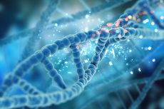Penerapan Teknologi Rekayasa Genetika Pada Manusia