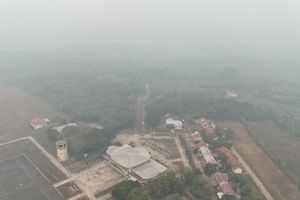 Asap Karhutla Cemari Kalimantan hingga Papua, Warga Diimbau Waspada