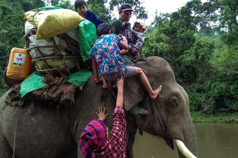 Gajah Bantu Evakuasi Warga Myanmar dari Kawasan Konflik