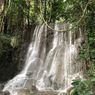 Bird Watching dan Sensasi Air Terjun Soinrat Nan Cantik di Maluku