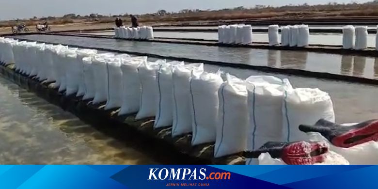 Industri Makanan Dan Minuman Kekurangan Bahan Baku Garam Perlukah