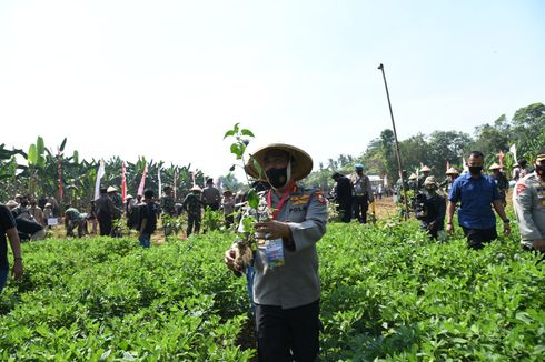 Lahan Tidur 11 Hektar di Kota Tangerang Disulap Jadi Ladang Pertanian