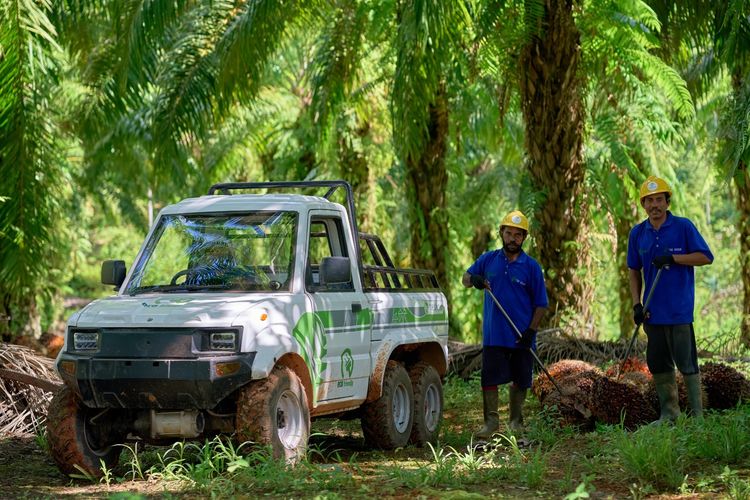 Penggunaan mobil listrik di area perkebunan kelapa sawit milik Tunas Sawa Erma Group (TSE Group) di Papua