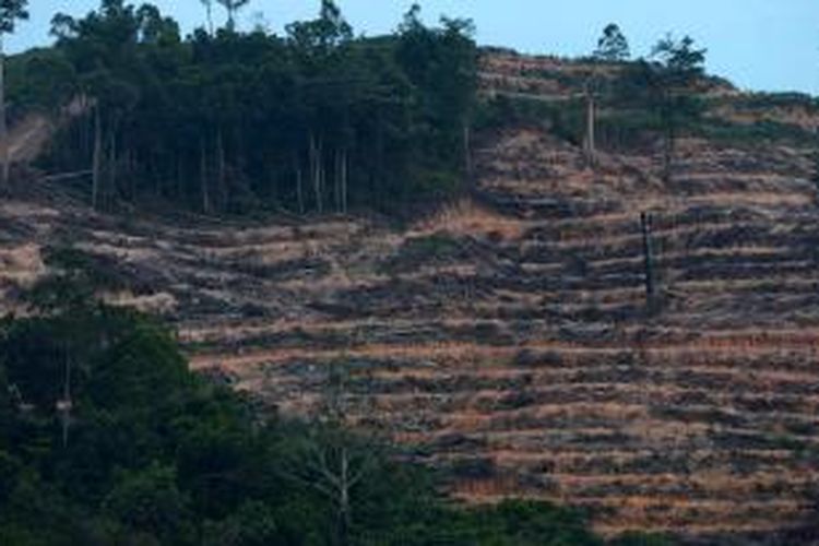 Pembukaan lahan hutan untuk dijadikan perkebunan kelapa sawit di Kabupaten Kutai Kartanegara, Kalimantan Timur, Kamis (3/10/2014). Selain pertambangan, pembukaan hutan untuk perkebunan menjadi penyebab degradasi hutan di Kaltim. Laju degradasi hutan ini diperkirakan mencapai 90.000 hektar per tahun.