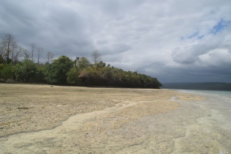 Badan Pertanahan Negara (BPN) Kabupaten Buton, Sulawesi Tenggara, menyatakan, status pulau pendek saat ini adalah punya hak negara.