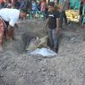 Melihat Upacara Kematian Kepercayaan Marapu di Sumba: Jenazah Disemayamkan Sampai Puluhan Tahun (2)
