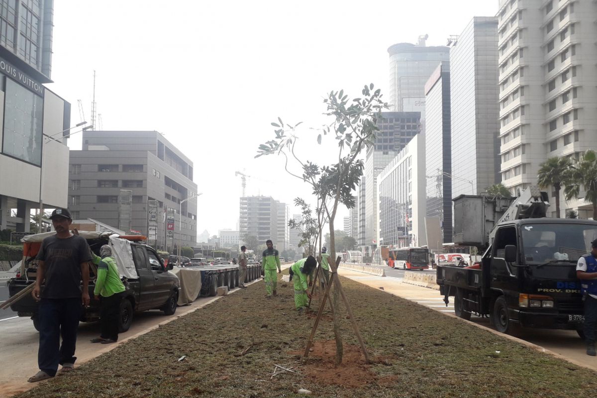 Puluhan pohon ditanam oleh petugas dinas Kehutanan di taman depan wisma nusantara-grand hyatt, Selasa (31/7/2018)