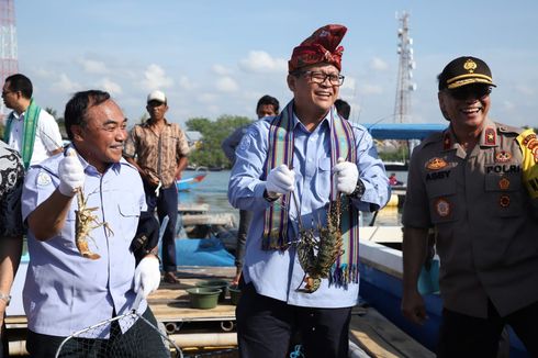 Menteri Edhy: Jangan Khawatir Kepiting Punah, Satu Ekor Hasilkan 50.000 Telur...