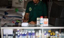Pupuk dan Pestisida Palsu Rugikan Petani, Kementan Awasi Peredarannya