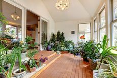 7 Tanaman Indoor Berbunga yang Dapat Menambahkan Warna Dalam Rumah