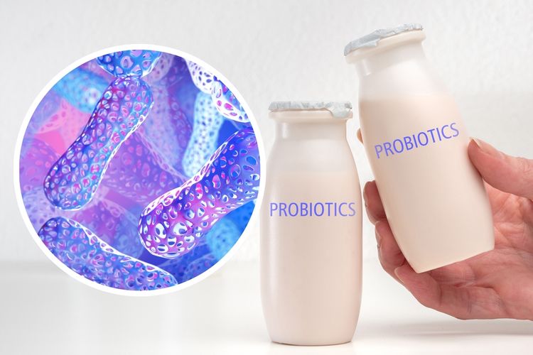 Adu Cantik di Pasar Minuman Probiotik