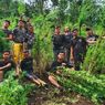 Pengakuan Pemilik Ladang Ganja di Empat Lawang, Mengaku Penjaga Diupah Rp 50 Ribu Per Hari