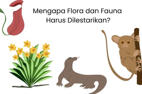 Mengapa Flora dan Fauna Harus Dilestarikan?