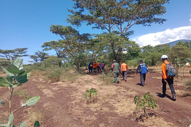 Penggembala Sapi Hilang di Hutan Baluran, Terakhir Berbaju Loreng Mirip Tentara