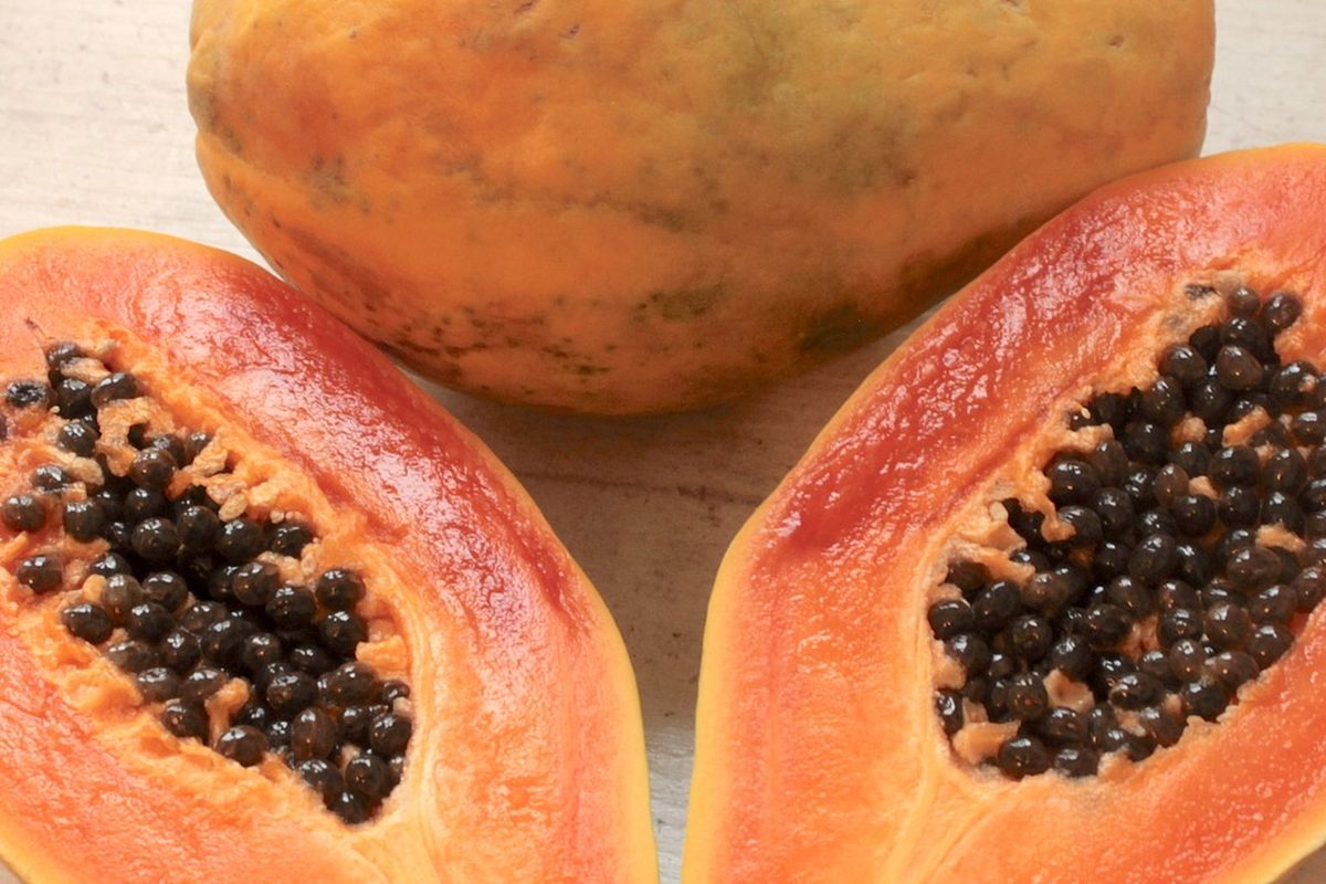 Ilustrasi pepaya.