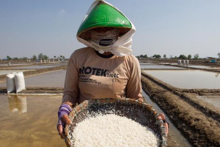 Chatimah sudah tiga bulan menambak garam di Kampung Eretan, Desa Losarang, Kabupaten Indramayu. Akibat kekeringan, sawah yang sudah sempat dia tandur, gagal menghasilkan panen. Ketimbang berpangku tangan, bersama suami, dia beralih profesi menjadi petambak garam hingga musim hujan tiba dan kembali menggarap persawahan. Gambar diabadikan pada Selasa (18/8/2015).