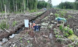80 Hektare Lahan di Sumsel Rusak, Diduga karena Praktik Pembakaran