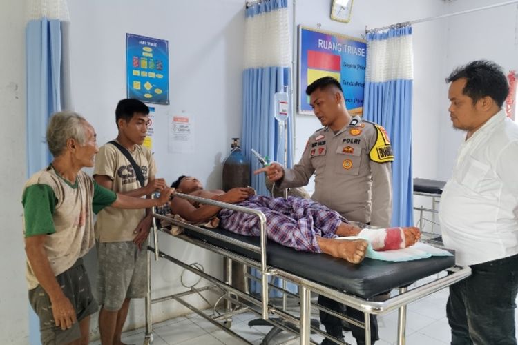 Tinju Telak ke Muka Anak Harimau Selamatkan Nyawa Bantet di Hutan Riau