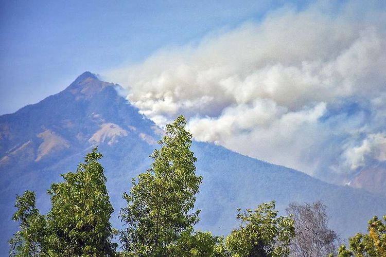 Kebakaran kawasan hutan pelawangan Senaru Gunung Rinjani terlihat dari Desa Anyar, Kecamatan Bayan, Lombok Utara, NTB, Minggu (20/10/2019). Kebakaran hutan pelawangan Senaru tersebut terjadi sejak tiga hari lalu yang diduga terjadi akibat kemarau panjang dan berdampak pada terjadinya kebakaran hutan.