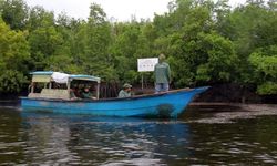 Berkat Keterlibatan Aktif Masyarakat, Laju Kerusakan Mangrove di Desa Ini Turun 96 Persen