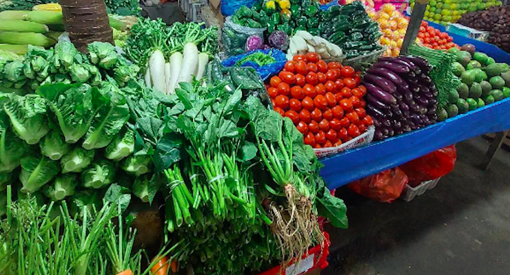 Raih Omset hingga Rp 2 Juta per Hari dari Jualan Sayur, Gen Z Ini Bocorkan Tipsnya!