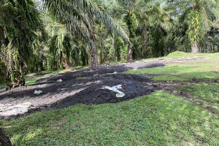 Limbah kotoran yang dibuang tanpa izin di dekat pemukiman warga di Rangkasbitung, Kamis (12/5/2022).