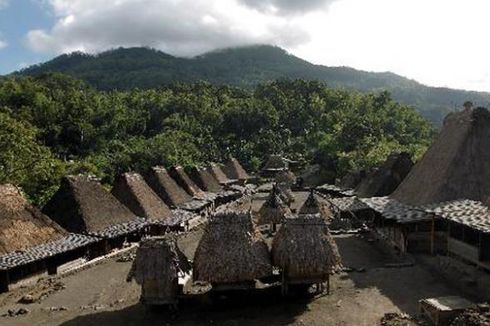 Tiga Kampung Adat yang Memukau di Lembah Jerebu'u Flores