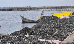 Guru Besar IPB: Tumpukan Limbah Cangkang Kerang di Cilincing Ancam Ekosistem