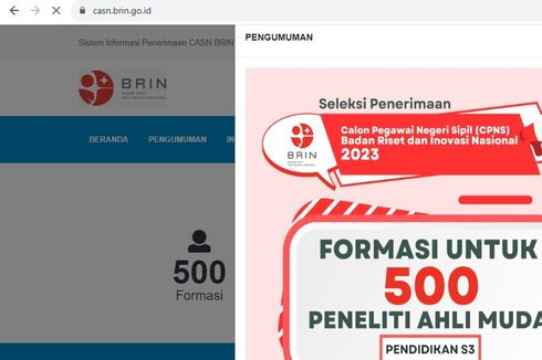 20 Link Kementerian dan Lembaga untuk Cek Syarat dan Formasi CPNS 2023