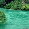Air Danau Singkarak Mendadak Jernih di Tengah Banjir Sumatera, Ada Apa?