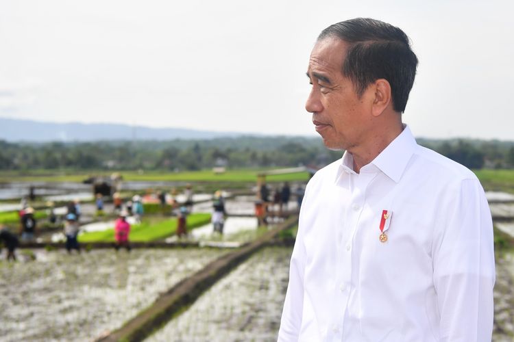 Presiden Joko Widodo di areal persawahan Desa Sokaraja Kidul, Kecamatan Sokaraja, Kabupaten Banyumas, Jawa Tengah, Rabu (3/1/2024).