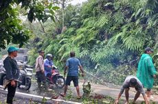 Promo Alfamart Hari Ini 9 Desember 2025, Bimoli 2 Liter Rp 38.700