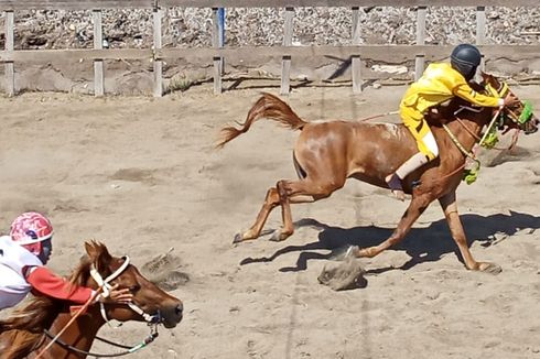 Dugaan Judi di Arena Pacuan Kuda Sumbawa Jadi Sorotan, Kapolda NTB: Segera Kami Tindak Lanjuti