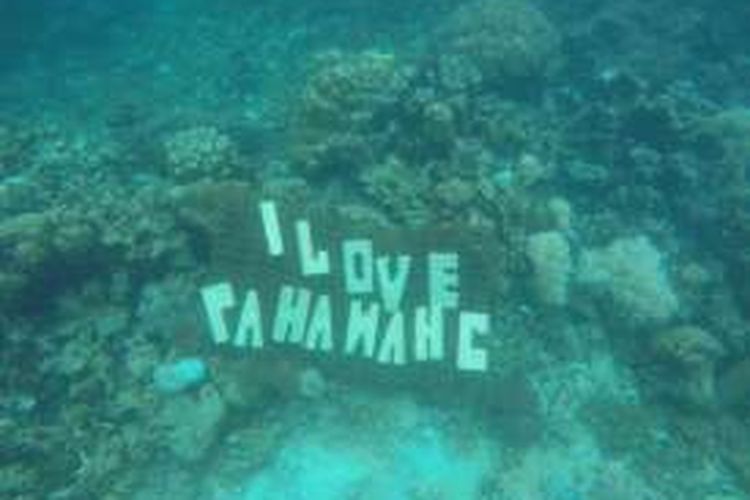 Snorkeling di Pahawang, Lampung.