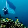Peringati HUT RI, Ada Konvoi Bendera Merah Putih di Bawah Laut Raja Ampat