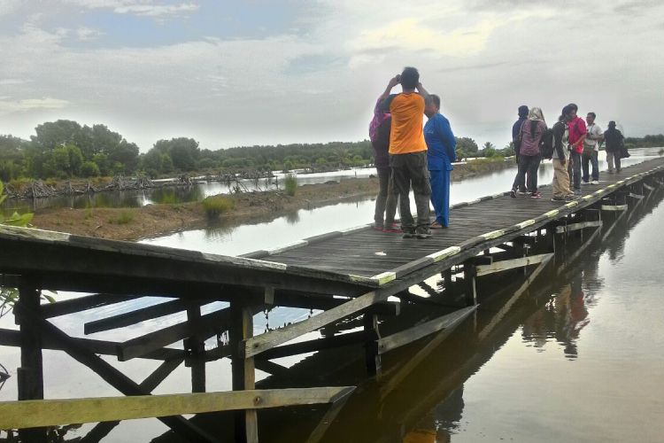 Salah satu sisi jembatan yang melintasi tambak di Dusun Tani Baru Dalam.