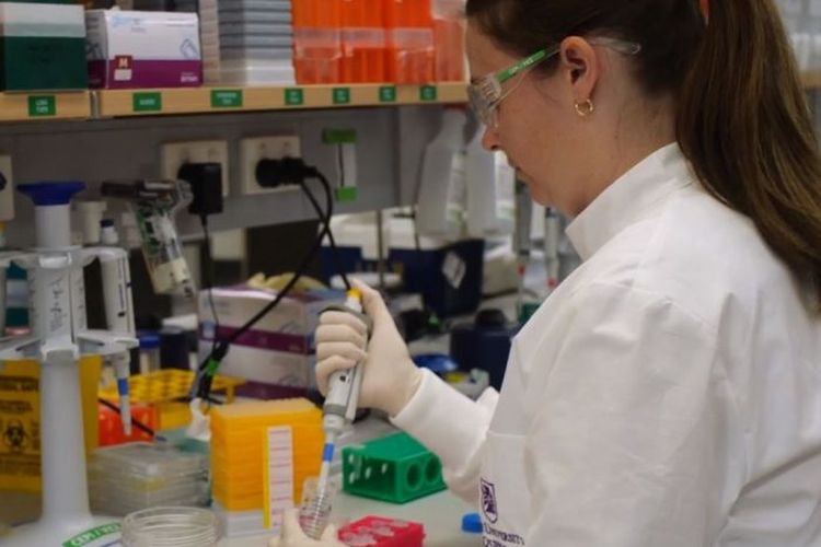 Seorang peneliti di University of Queensland bekerja mengembangkan vaksin Covid-19 pada Maret 2020.