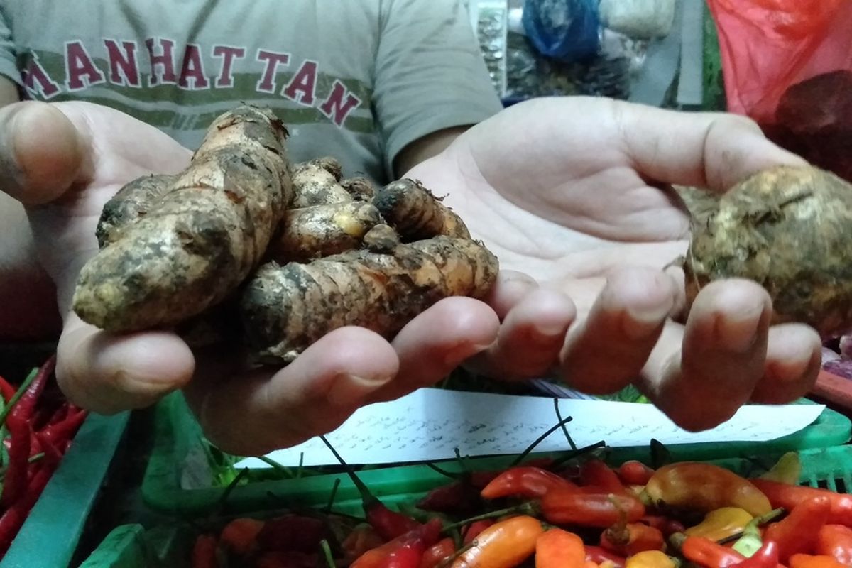 kunyit dan temulawak yang dijual di pasar Santa, Kebayoran Baru, Jakarta Selatan, Rabu (4/3/2020)