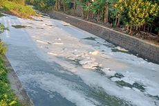  Air Sungai di Klaten Dipenuhi Busa dan Banyak Ikan Mati, Ini Penyebabnya