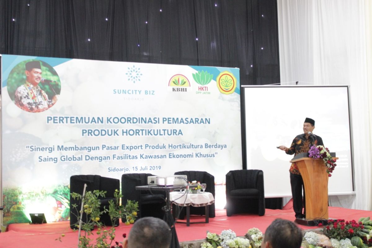 Direktur Jenderal Hortikultura Kementan Suwandi mengatakan, sarana dan prasarana di Suncity Biz telah dipilih untuk direplikasi dan dikembangkan di kota besar lainnya.
