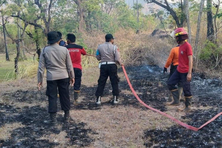 Tim gabungan berusaha memadamkan api kebakaran lahan di lereng Gunung Agung.di Desa Labasari, Kecamatan Abang, Kabupaten Karangasem, Bali, pada Selasa (3/10/2023). 