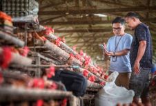 Indeks Bisnis UMKM BRI Q2-2026 Tembus 102,1, Aktivitas Usaha Masih Ekspansif