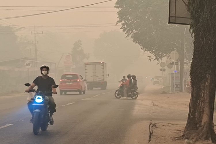283.270 Orang Derita ISPA gara-gara Karhutla, Tertinggi di Kalsel-Sumsel